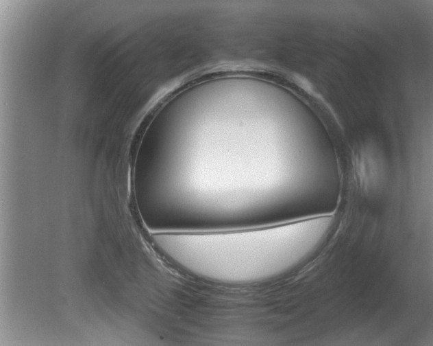 X0000080751221200612150949