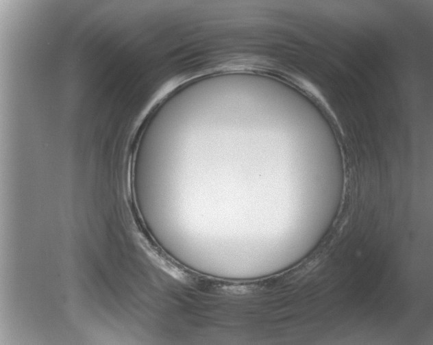 X0000080751227200612150949