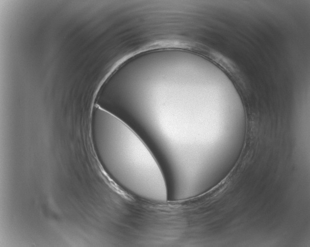 X0000080751236200612150949