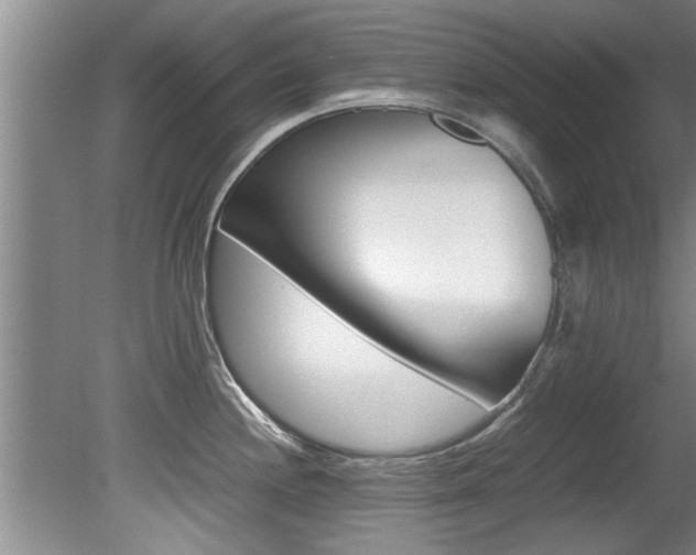 X0000080751244200612150949