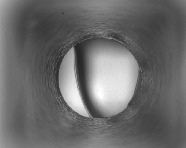 X0000080751249200612150949
