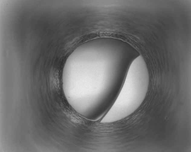 X0000080751252200612150949