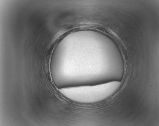 X0000080751259200612150949
