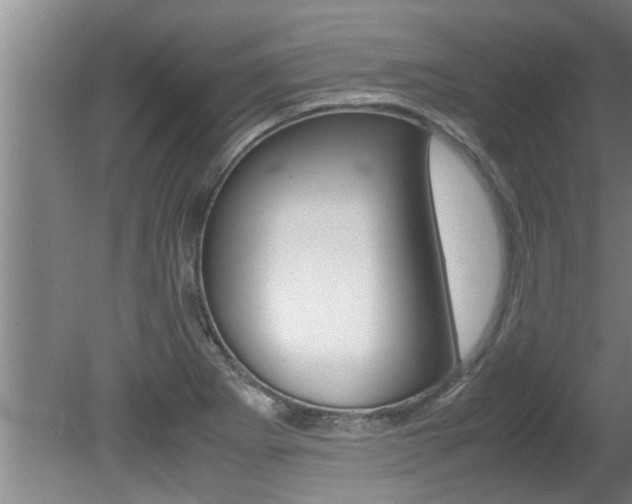 X0000080751273200612150948