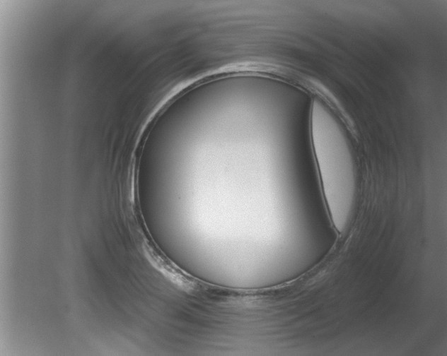 X0000080751276200612150948