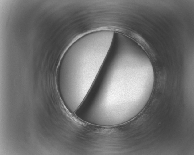 X0000080751284200612150948