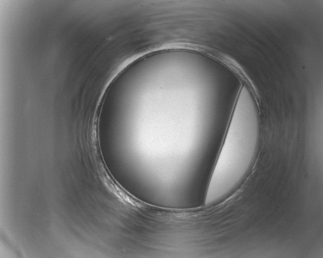 X0000080751292200612150948