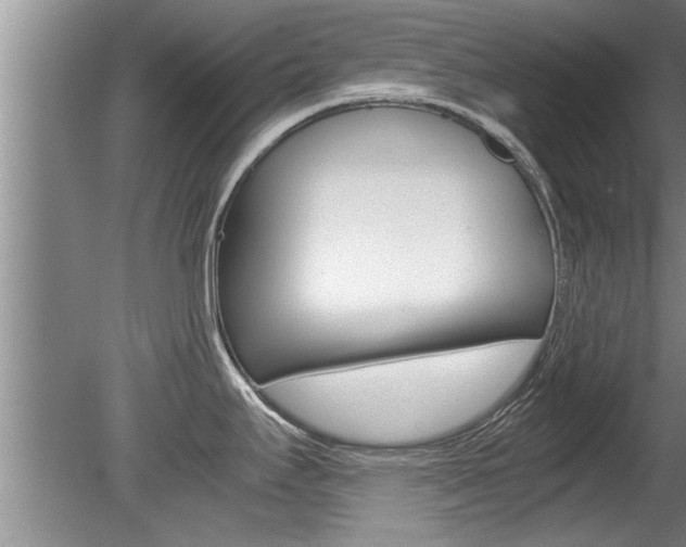 X0000080751295200612150948