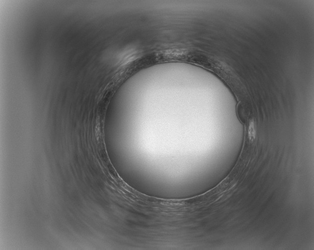 X0000080751299200612150947