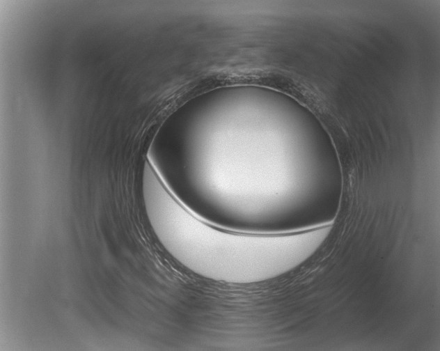 X0000080751300200612150947
