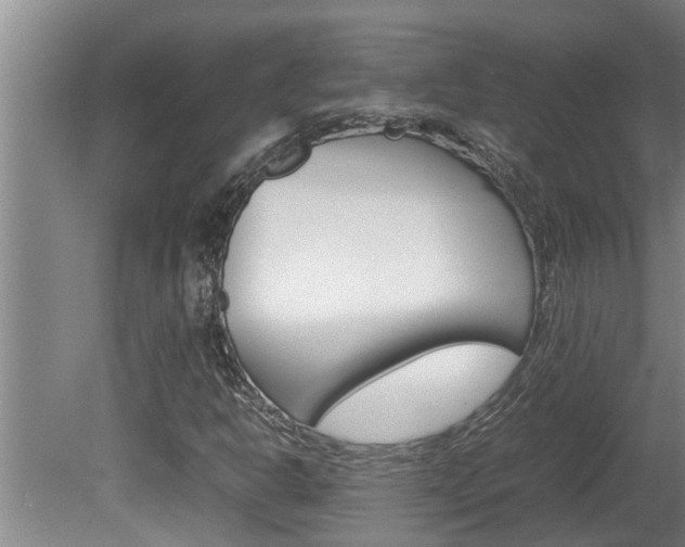 X0000080751302200612150947