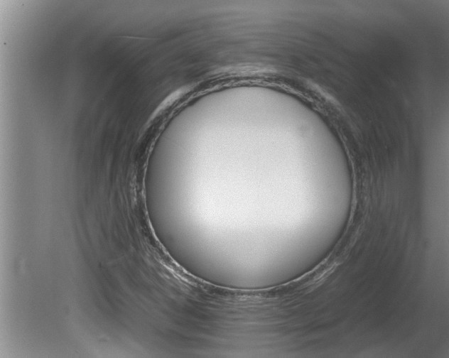X0000080751306200612150947