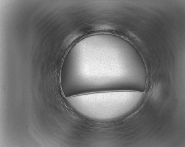 X0000080751313200612150947