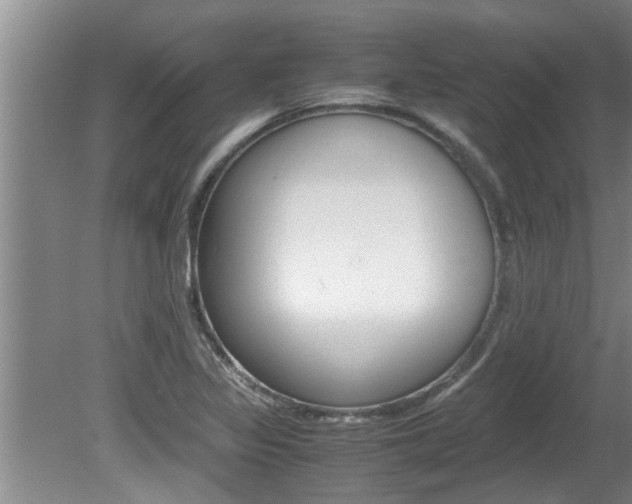 X0000080751317200612150947