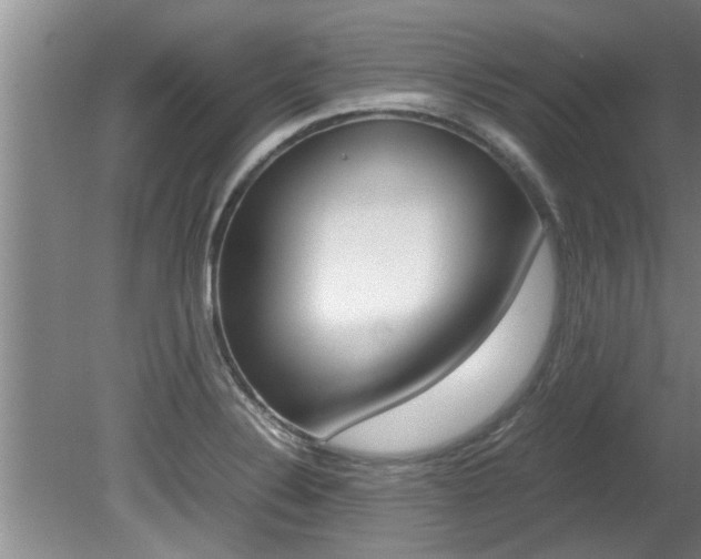 X0000080751324200612150948