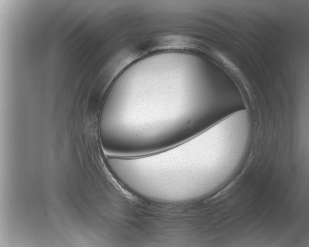 X0000080751329200612150948