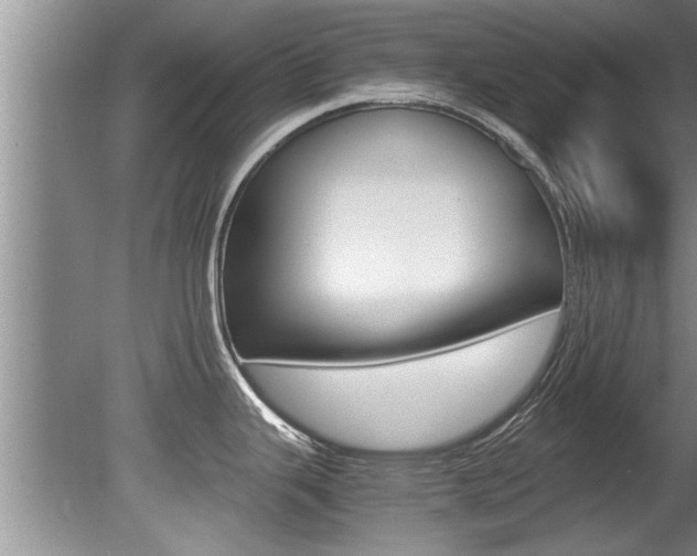 X0000080751343200612150948