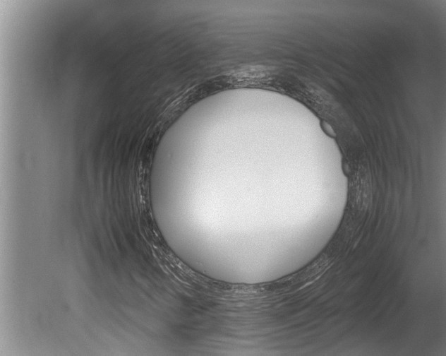 X0000080751346200612150947