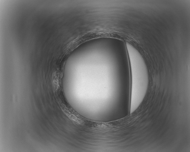 X0000080751348200612150947