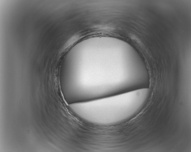 X0000080751354200612150947