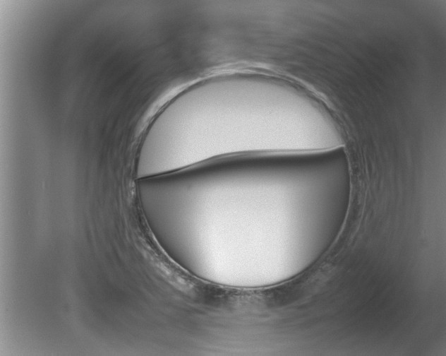 X0000080751363200612150947