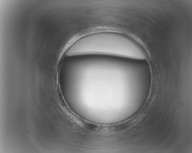 X0000080751365200612150947