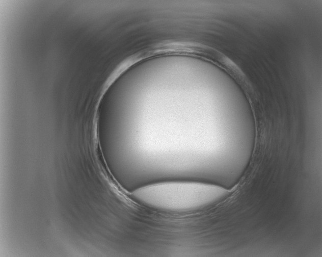 X0000080751370200612150947