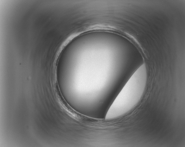 X0000080751371200612150947