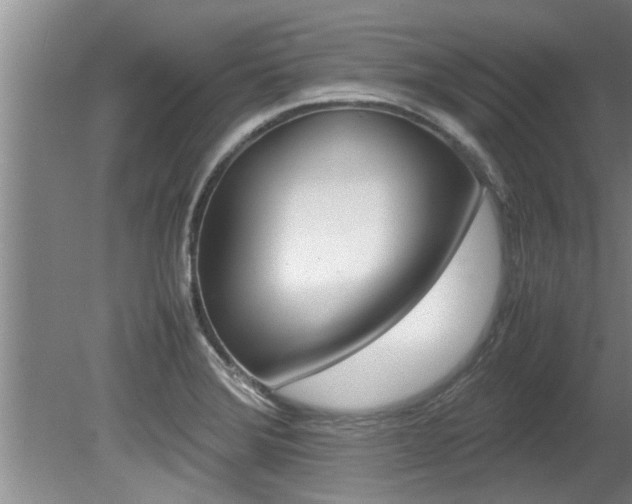 X0000080751372200612150947