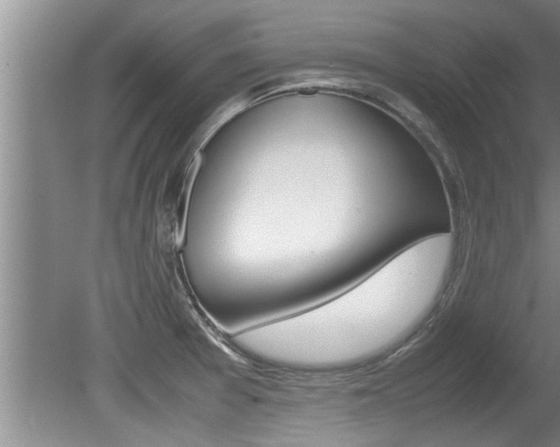 X0000080751377200612150947