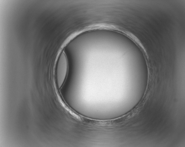 X0000080751381200612150947