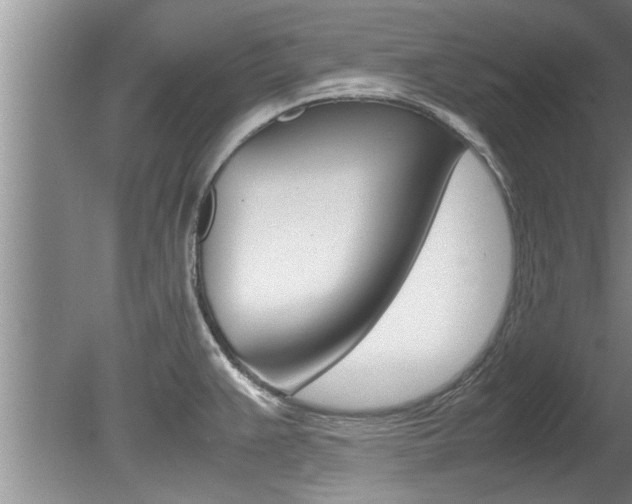 X0000080751383200612150946