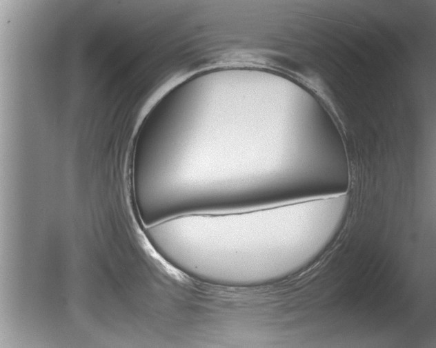 X0000080751387200612150946