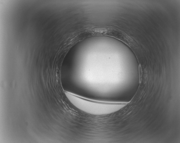 X0000080751394200612150946