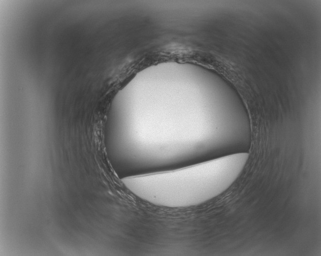 X0000080751397200612150946