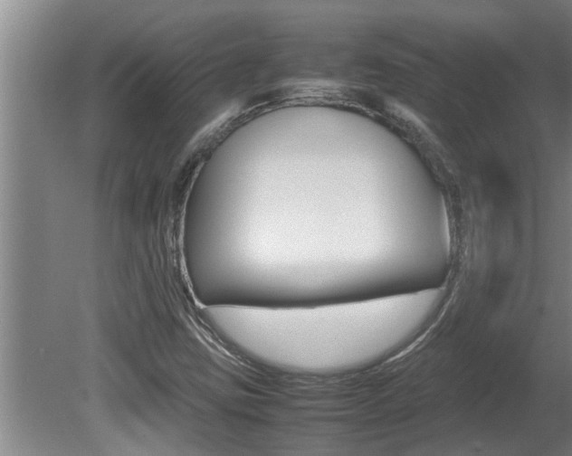 X0000080751403200612150946