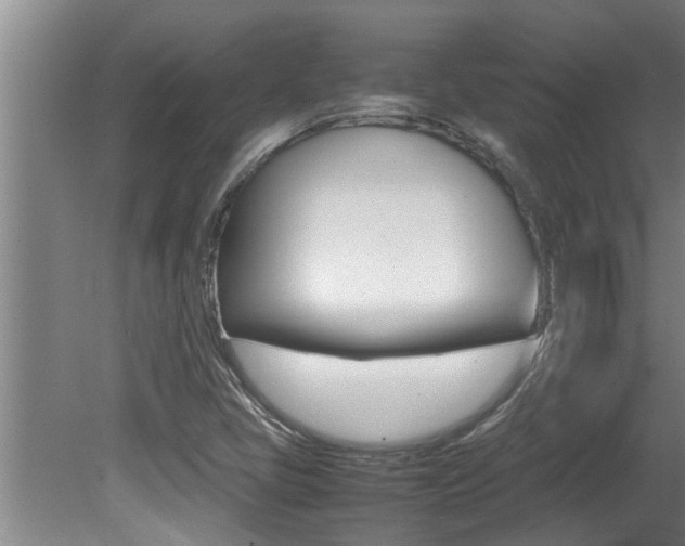 X0000080751405200612150946