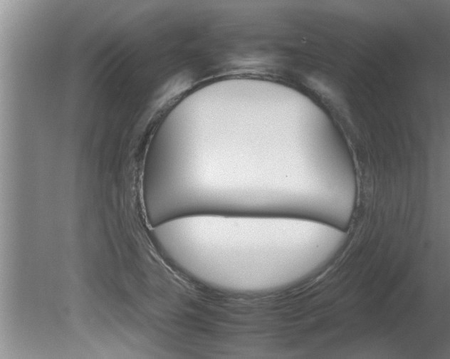 X0000080751411200612150946