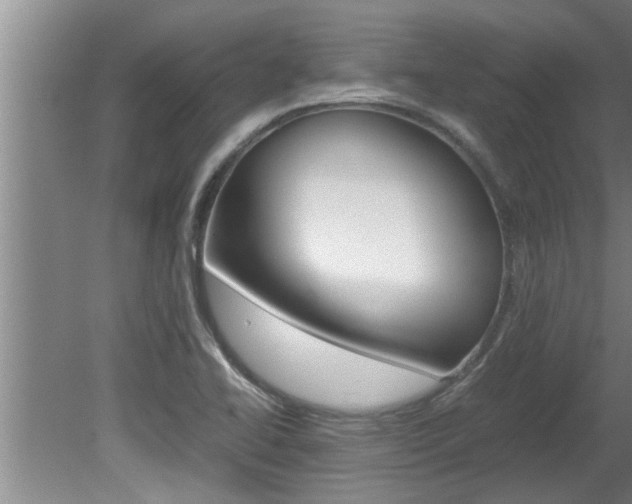 X0000080751414200612150946