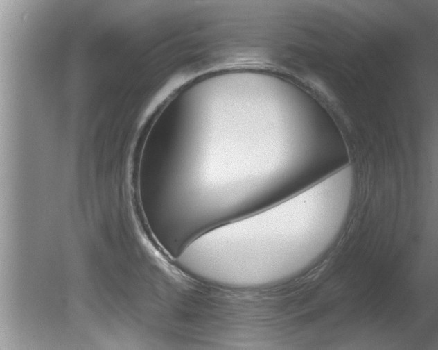 X0000080751422200612150946