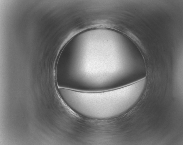X0000080751428200612150946