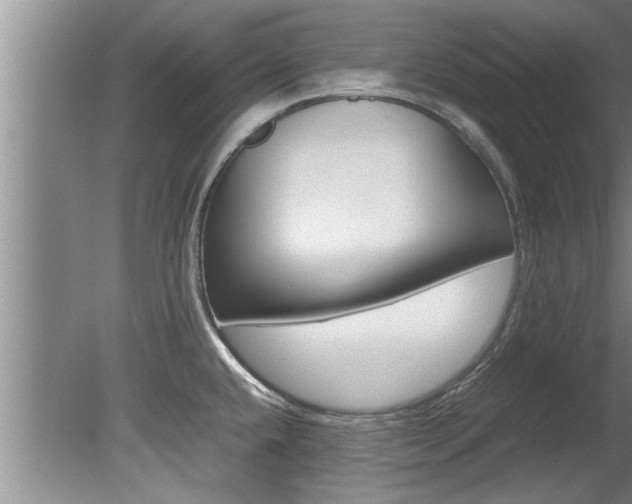X0000080751432200612150946