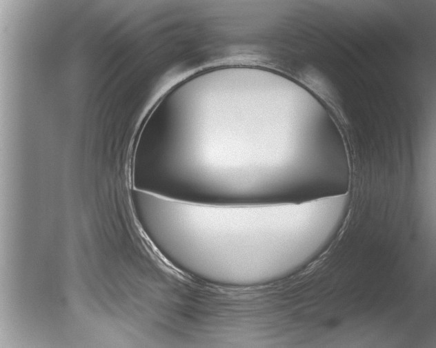 X0000080751436200612150946
