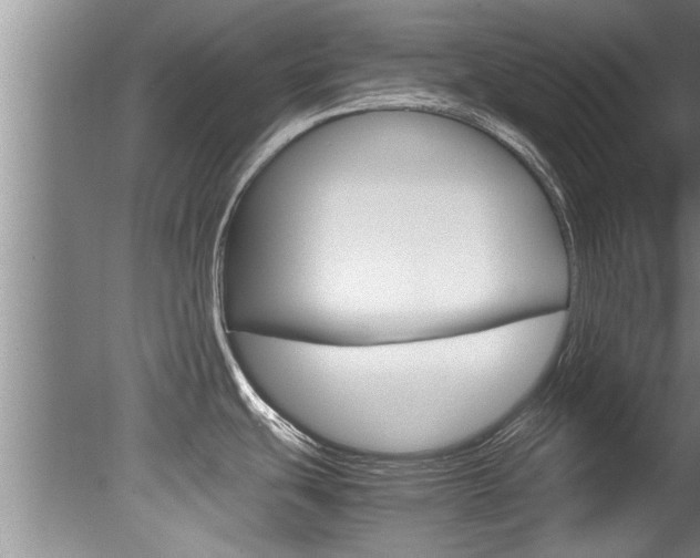 X0000080751439200612150946