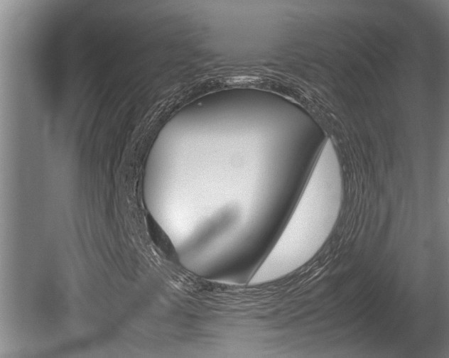 X0000080751441200612150946