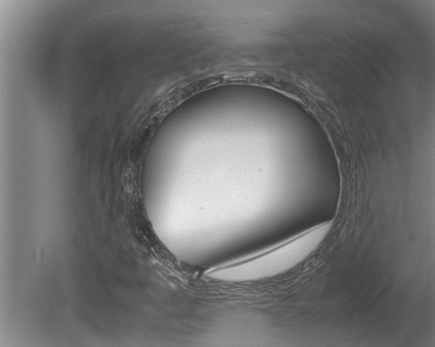 X0000080751445200612150945