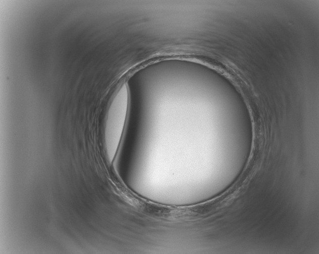 X0000080751449200612150945