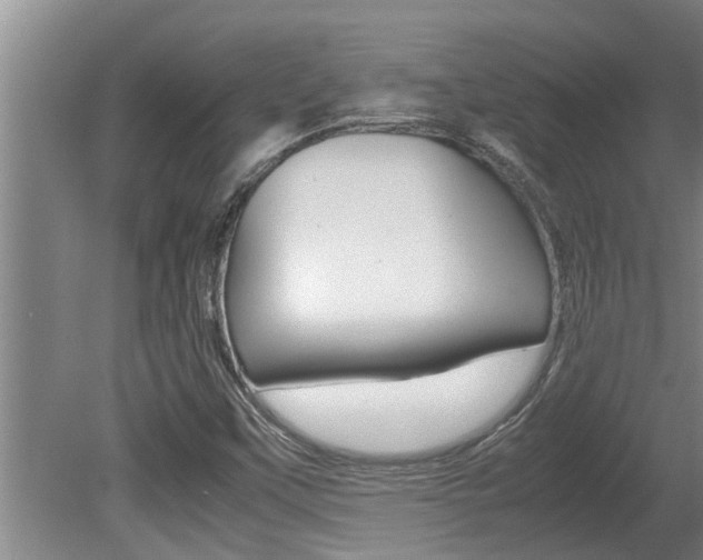 X0000080751451200612150945
