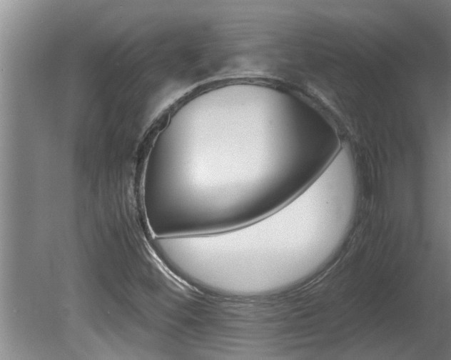 X0000080751452200612150945