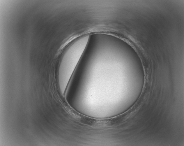 X0000080751453200612150945